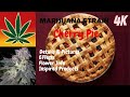 Cherry Pie Marijuana Flower  Details & Pictures In 4K! With Music!