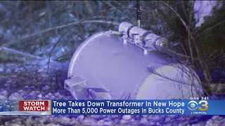 Heavy Snow Knocks Down Tree, Causing Power Outages