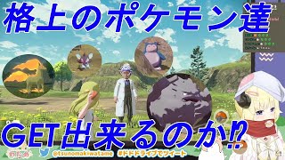 強敵と相対するわため‼ゲット出来るか⁉(Pokémon LEGENDS アルセウス/角巻わため/ホロライブ４期生)