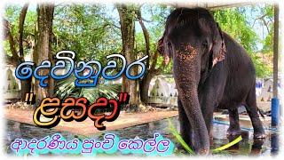 ආදරණීය පුංචි කෙල්ල \