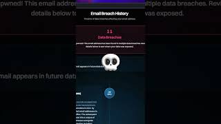 Is Your Data Leaked