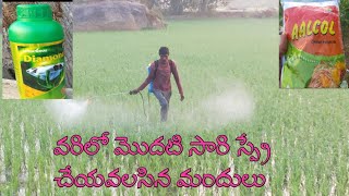 వరి కి మొదటి సారి స్ప్రే చేయవలసిన మందులు||first spraying in paddy crop