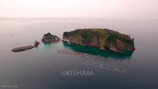 鋸南浮島・亀ヶ崎ドローン空撮 Ukishima, Kamegasaki Phantom4 aerial video 4K