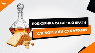 Подкормка сахарной браги хлебом или сухарями