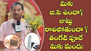 How To Reduce BP And Hair Fall Naturally | Dr Ravi Varma Ayurvedam | PMC Telugu