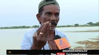 Rain shortage affects  Koothankulam Bird Sanctuary