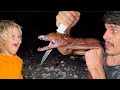 VIPER MORAY EEL HUNTING AT NIGHT - Camping + Fishing Catch and Cook with My Boys