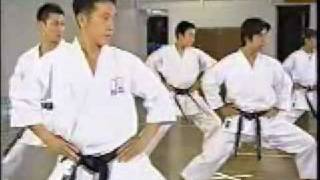 Tsuyama Karate pt. 2: Basic Stances