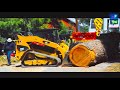 dangerous_huge_trees_feeling_with_chainsaw. කොහොමද කැපිල්ල.