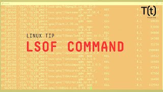 How to use the lsof command: 2-Minute Linux Tips