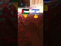 pilih salah satu Palestina atau isrontol