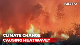 Wildfires, Heatwaves And Soaring Temperatures: Europe's Hottest Summers
