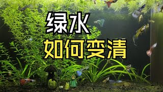 鱼缸绿水如何变清澈