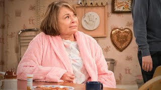Roseanne's History With Controversy: 4 Scandals From the TV Star's Past