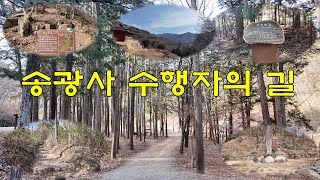 [The Walks] 송광사 수행자의 길 / The path of Songgwangsa monks / 4K / 무자막