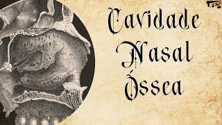 Cavidade Nasal Óssea (Bony Nasal Cavity) | Prof. Eduardo Beber - Anatomia/UFES