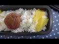 30秒の心象風景10940・トマトと天ぷら～昼食弁当～