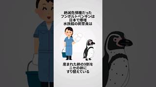 日本で爆増フンボルトペンギンの雑学エピソード #shorts