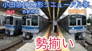 小田急1000形リニューアル車4両編成(連結10両)が3編成集結‼️‼️‼️