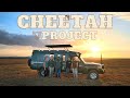 SAVING THE CHEETAHS 🐆/ Behind the Scenes of Wildlife Conservation