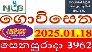 govi setha 3962 Result 2025.01.18  ගොවි සෙත ලොතරැයි Lotherai#3962#NLB ලොතරැයි#ලොතරැයි