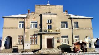 Traveling in Ukraine Lviv Mykolaiv village walk#сhickens#geese#pigeons