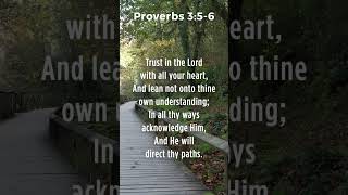 Proverbs 3:5-6 - Adrian Rogers