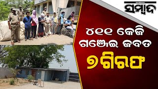 411 Kg Ganja Challan In Sambalpur | Police Arrests 7 | Sambad