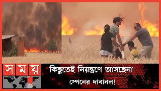 দাবানল থেকে ফসল রক্ষার শেষ চেষ্টা একটি পরিবারের! | Wildfires in Spain | Somoy TV