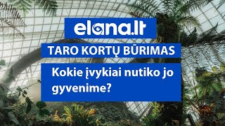 Būrėja atsako, kas atsitiko jo gyvenime