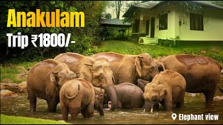 மூணாறுக்கு அருகில் மறைந்துள்ள அழகிய சுற்றுலா தலம் | MANKULAM \u0026 ANAKULAM | ₹1800/-  மட்டுமே போதும்