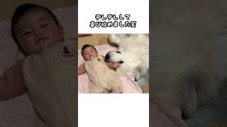 おててを繋いだら100倍にして返された赤ちゃん♡ #baby #funny #癒し #山奥暮らしのシュシュ