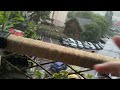 REAL FOOTAGE OF ORANGE WARNING OF THUNDERSTORMS AND RAIN (CHECK DESC) 