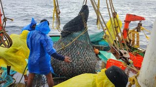 கேரளா இழுவை விசைபடகில் முதல் பாடில் கிடைத்த மீன்கள்|Kerala Boat Trawling Fishing in deep sea