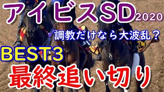 アイビスサマーダッシュ2020　最終追い切りBEST3　調教だけなら今週も大波乱？【調教診断】