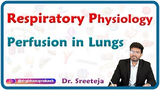 Perfusion In Lungs : Respiratory physiology USMLE Step 1