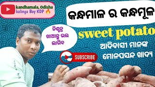 KANDHAMAL SWEET POTATO||କନ୍ଧମାଳ ର କନ୍ଧମୂଳ||MY FIRST VLOGS ODIA||@kalingaboykdp6026