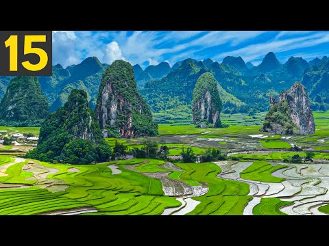 Where is the most biodiverse place on Earth?