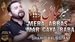 Mera Abbas س Mar Gaya Baba | Noha Mola Abbas as | Shahid Baltistani Nohay 2020 | Muharram 2020-1442