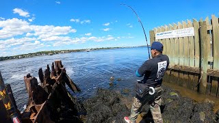 FISHING FOR GIANTS: EPIC BATTLE WITH 13LB GORILLA BLUEFISH!!!