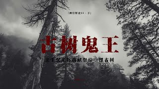 「稗官野史」寮國鬼故事；被父親獻祭送給古樹鬼王；那對父女頭上套著塑膠袋；小巷三人組；網友投稿民間故事#靈異 #靈異事件 #鬼故事 #怪談 #民间故事