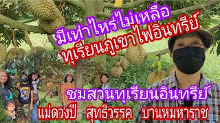 EP121 ทุเรียนอินทรีย์ ภูเขาไฟศรีสะเกษ แม่ดวงปี  สุทธิวรรค มีเท่าไหร่ไม่เหลือ หอมกรอบอร่อย