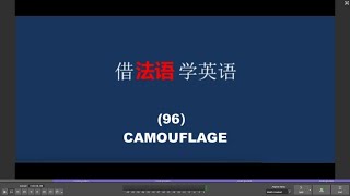 借法语学英语 （96） CAMOUFLAGE