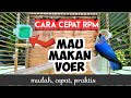 CARA MELATIH BURUNG RPM AGAR CEPAT MAKAN VOER