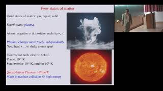 A Golden Age in Physics: Heavy Ion Physics at High Energies by Rob Pisarski