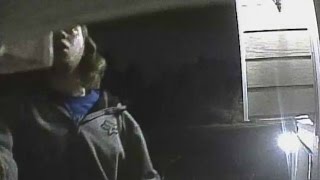 Thieves steal American flags