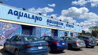 Visit to Aqualand Aquarium Center- My local fish store