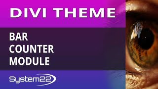 Divi Theme Bar Counter Module
