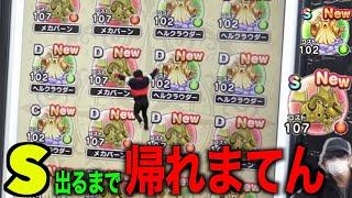 【迷宮の田園十字路】メカバーン、ヘルクラウダーS出るまで帰れま10【DQW】【ドラクエウォーク】【ドラゴンクエストウォーク】【DQウォーク】