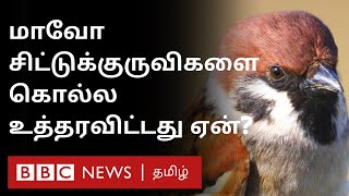 China-வில் துடிதுடித்து இறந்த சிட்டுக்குருவிகள்: Mao-வின் தவறான முடிவும் வரலாற்று பாடமும் | History